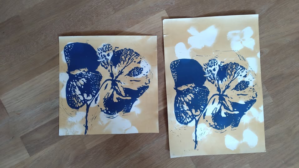 cyanoskopi workshop p middelfart billedskole